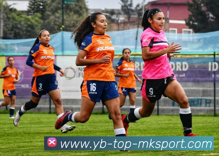 MK体育APP 高清赛事图