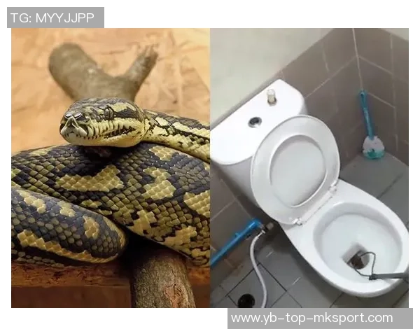 马绍尔赛前更衣室事件真相大白原因竟是上厕所引发热议 马绍尔赛前更衣室事件真相大白原因竟是上厕所引发热议